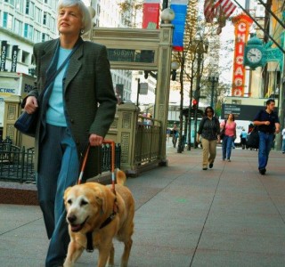 How Do Blind and Visually Impaired People Get Around? - The Chicago  Lighthouse
