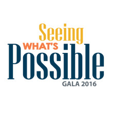Pioneer Press Recap of the 2016 Chicago Lighthouse Gala image