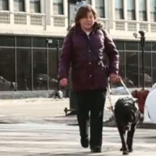Watch a video about So Chicago: Guide Dogs Earn Their Keep – and a Measure of Love
