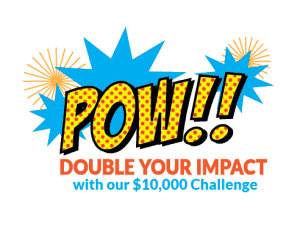 In comic book style graphics: POW! Double your impact with our $10,000 challenge