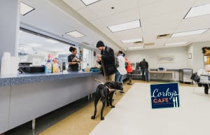 customers line up at the cafeteria, guide dogs in hand!