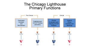 A flow chart depicting The Chicago Lighthouse's Primary Functions in the ICVP