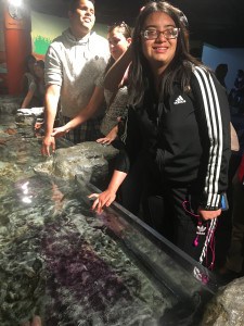 Youth who are blind or visually impaired take a touch tour of an exhibit at the Shedd Aquarium