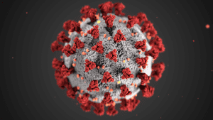A 3D image of the COVID-19 virus