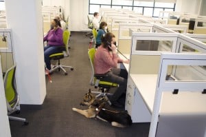 A group of 5 call center agents (all of whom are blind) schedule patient appointments thanks to fully accessible software by Epic.