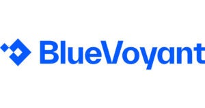 BlueVoyant logo